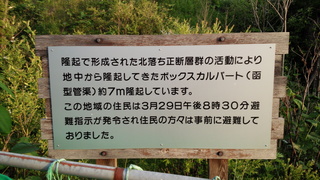 IMG_20140603_182453.jpg